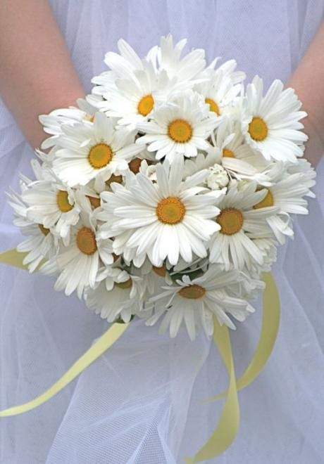 bouquet sposa margherite